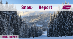 snow report