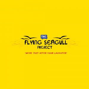 flying seagul project