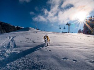 man on slopes