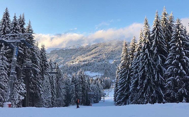 Les Gets in snow with trees